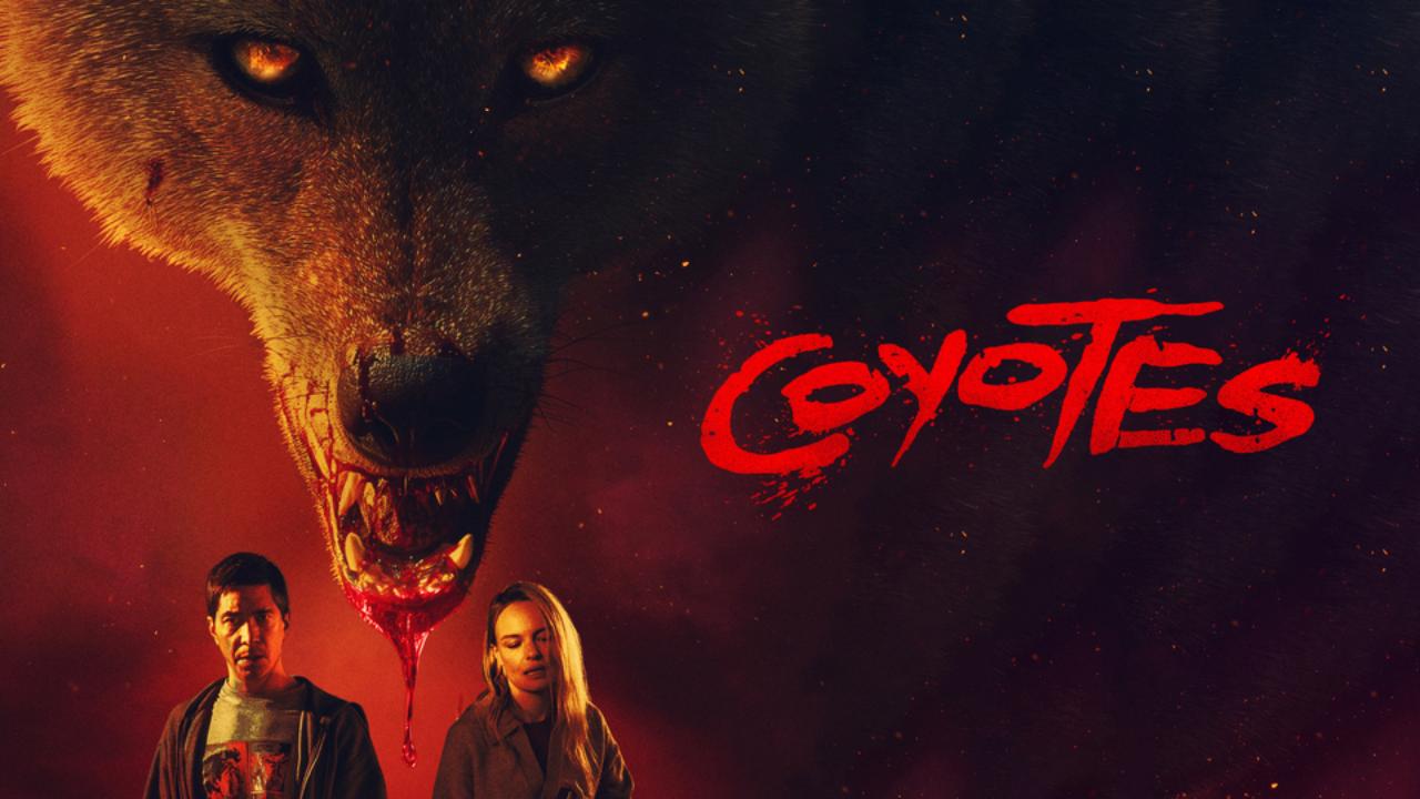 فيلم Coyotes 2025 مترجم
